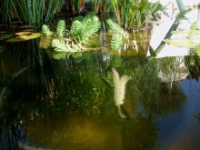 DSCF1609.JPG