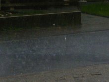 der sommer 2011 läßt grüßen 005.jpg