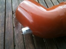 Bild 257.jpg