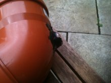 Bild 260.jpg