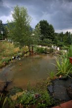 IMG_1804_2011-08-07_Teich_nach-dem-Gewitter.JPG