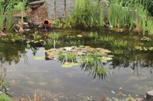 August2011 014.JPG