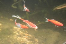 August2011 002.JPG
