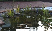 IMAG0149.jpg