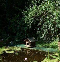 Katzenkinder und Teich 024ausschnitt.jpg Katzenkinder und Teich 024ausschnitt.jpg