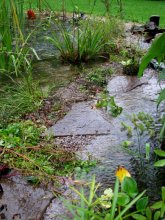 IMG_0118.JPG