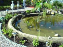 teich23jpg.jpg teich23jpg.jpg