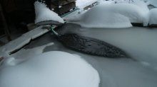 Teich2.jpg
