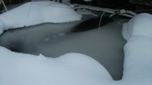 Teich 1.jpg