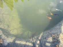 IMG_0195.jpg