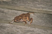 DSC05053.jpg