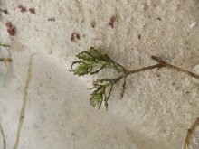 DSCF5830.jpg