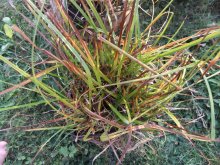 DSCF5860.jpg