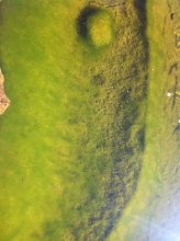 20111001_113020_000klein.jpg