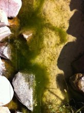 20111003_135408_000klein.jpg