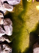 20111003_135421_000klein.jpg