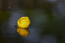IMG_6695.jpg