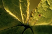 IMG_7550.jpg