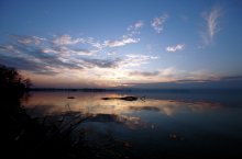 IMG_8891.jpg