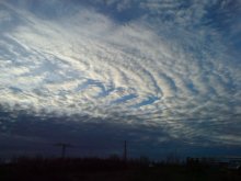DSC00258.jpg