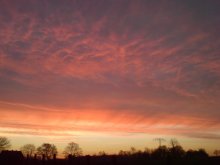 DSC00285.jpg