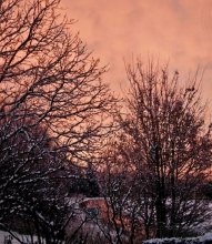 Sonnenaufgang im Feber.jpg