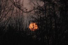 Sonnenaufgang.jpg