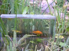 Bilder bis März 2011 417.jpg