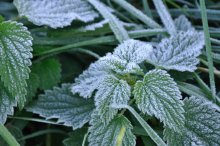 2011_10_15_14728_2991.JPG