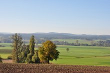 2011_10_15_14733_2995.JPG