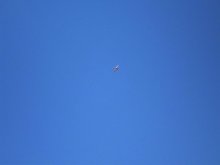 17.10.2011 002.JPG