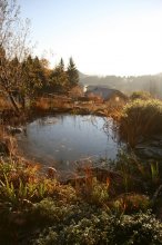 IMG_7070_2011-11-13_Teich.jpg