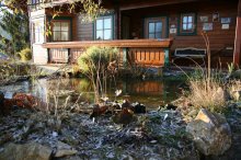 IMG_7071_2011-11-13_Teich-1.jpg