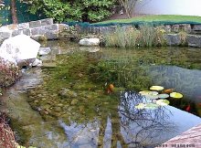image111113-.jpg