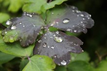 IMG_1272.jpg