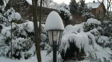 Winter1.jpg
