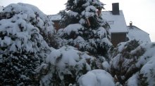 Winter2.jpg