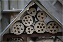 BienenhotelIMG_6100.jpg