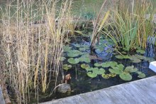 2011_11_27_16633_3076.jpg