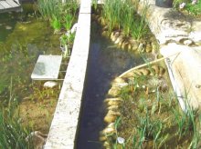 Reinigung, kleiner Teich (4).jpg Reinigung, kleiner Teich (4).jpg