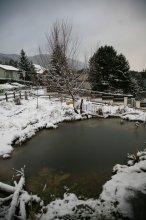 IMG_7647_2011-12-08_erster-Schnee.JPG