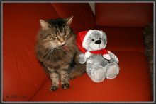 Strubbel -Homepage- IMG_1560.jpg