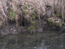 K800_IMG_5376 bi5.JPG K800_IMG_5376 bi5.JPG