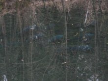 K800_IMG_5399 wi1.JPG K800_IMG_5399 wi1.JPG