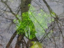 K800_IMG_5405 wi2.JPG K800_IMG_5405 wi2.JPG