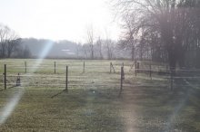 Impressionen Winter 005.JPG