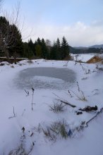 P1000823_2012-01-15_Teich.JPG