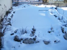 DSCF1391.jpg