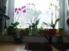 P1000001.jpg P1000001.jpg