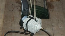 Pumpe2.jpg